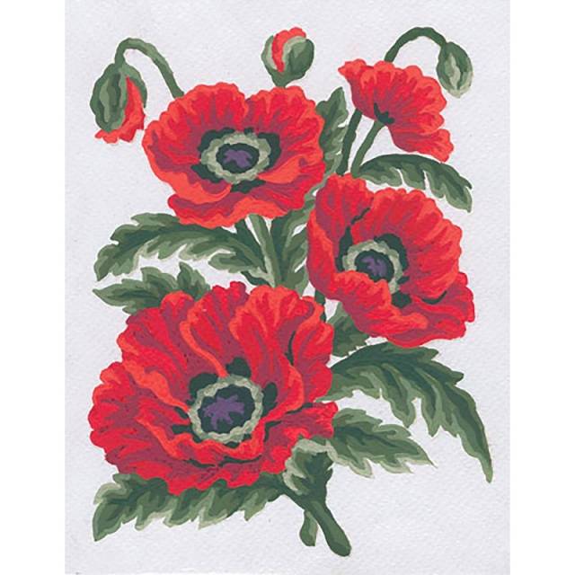 Poppies (14 Count) - Stamped Needlepoint Canvas 8"X10"