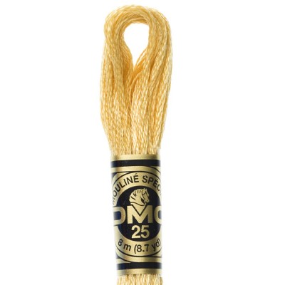 DMC Embroidery Floss, 6-Strand Special Thread - Dark Gold #E3852 in 2023