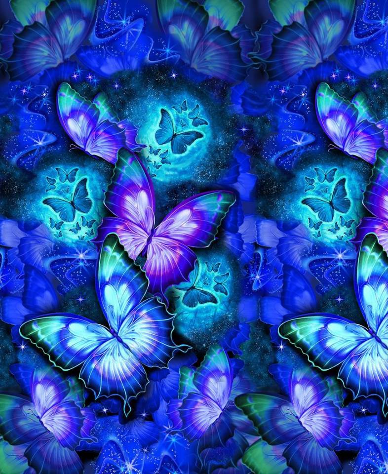Cosmic Butterfly - Midnight Sparkling Butterflies 24in X 45in