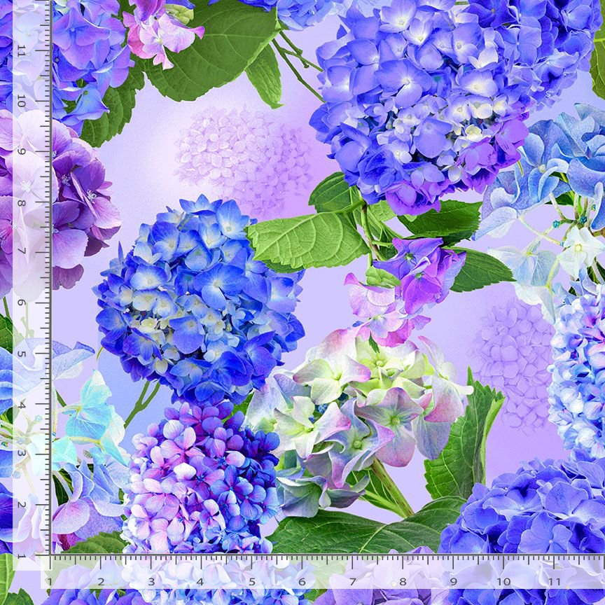 Ruby Slippers Oakleaf Hydrangea – LandscapeDirect